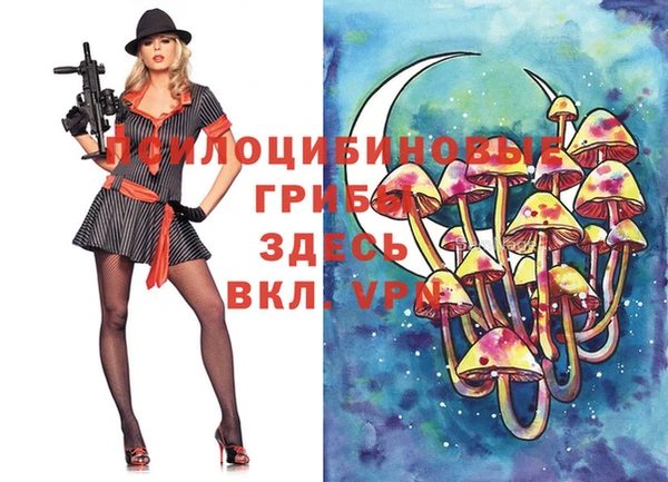 герыч Абинск